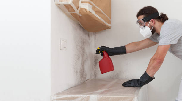 Professional Mold Remediation technician working in Fayville, MA