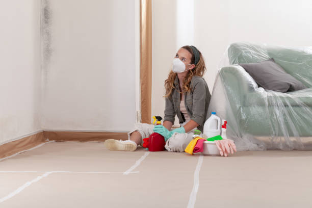 Reliable Mold Remediation contractor in Fayville, MA by 24 Hour Mold Removal